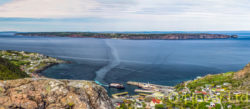 Bell Island from the Cove