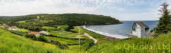 Gooseberry Cove, Placentia Bay 10x32