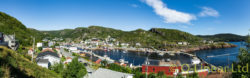 Petty Harbour 10x32
