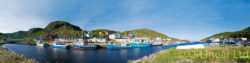 Petty Harbour - Boats in the Harbour