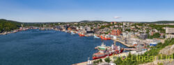 St John's Harbour in Summer